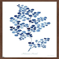 Jean Plout - Indigo Botanical Adiantum Assimle Wall Poster, 14.725 22.375 рамки