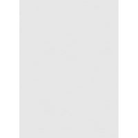 Екена Милуърк 28 В 42 х вертикална повърхностна монтиране ПВЦ Гейбъл отдушник: нефункционален, в 2 в 1-1 2 х Брикмулд рамка