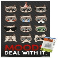 Плакат за стена на Grumpy Cat - решетка с бутални щифтове, 14.725 22.375